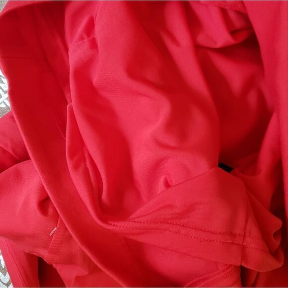 Cynthia Steffe Dress  - Picture 6 of 13